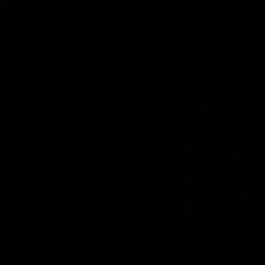 Meet your Posher, Bridget